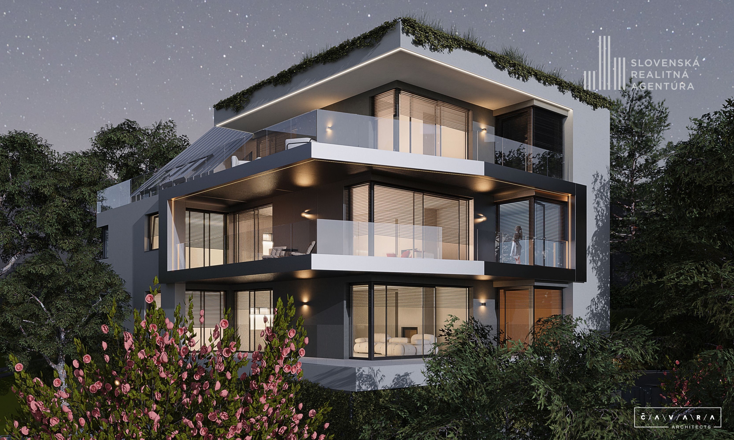 dynamic image 9bebda88fdaa8f400405a51c5fb9bd32 scaled